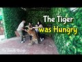 El Vistra Hotel and Clark Safari Zoo Pampanga - Avi's 20th Birthday