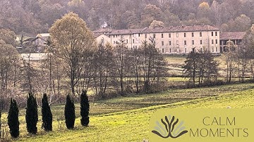 Calm Moments: 15 Minutes of INSTANT Peace | Relaxing Music & Beautiful Visuals for Anxiety & Focus