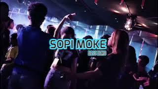 SOPI MOKE🍊BASS BEMO🔥🔥 IREN FEO REMIX