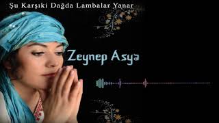 Aslım Paktır - Zeynep Asya Resimi