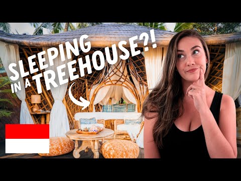 We Stayed at the BEST Treehouse Hotel in Ubud! 🇮🇩 Bali Travel Vlog