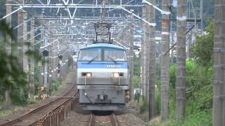 EF66-131[吹]号機＋コキ24B 貨物列車5071レ 東海道本線 2014/09/20