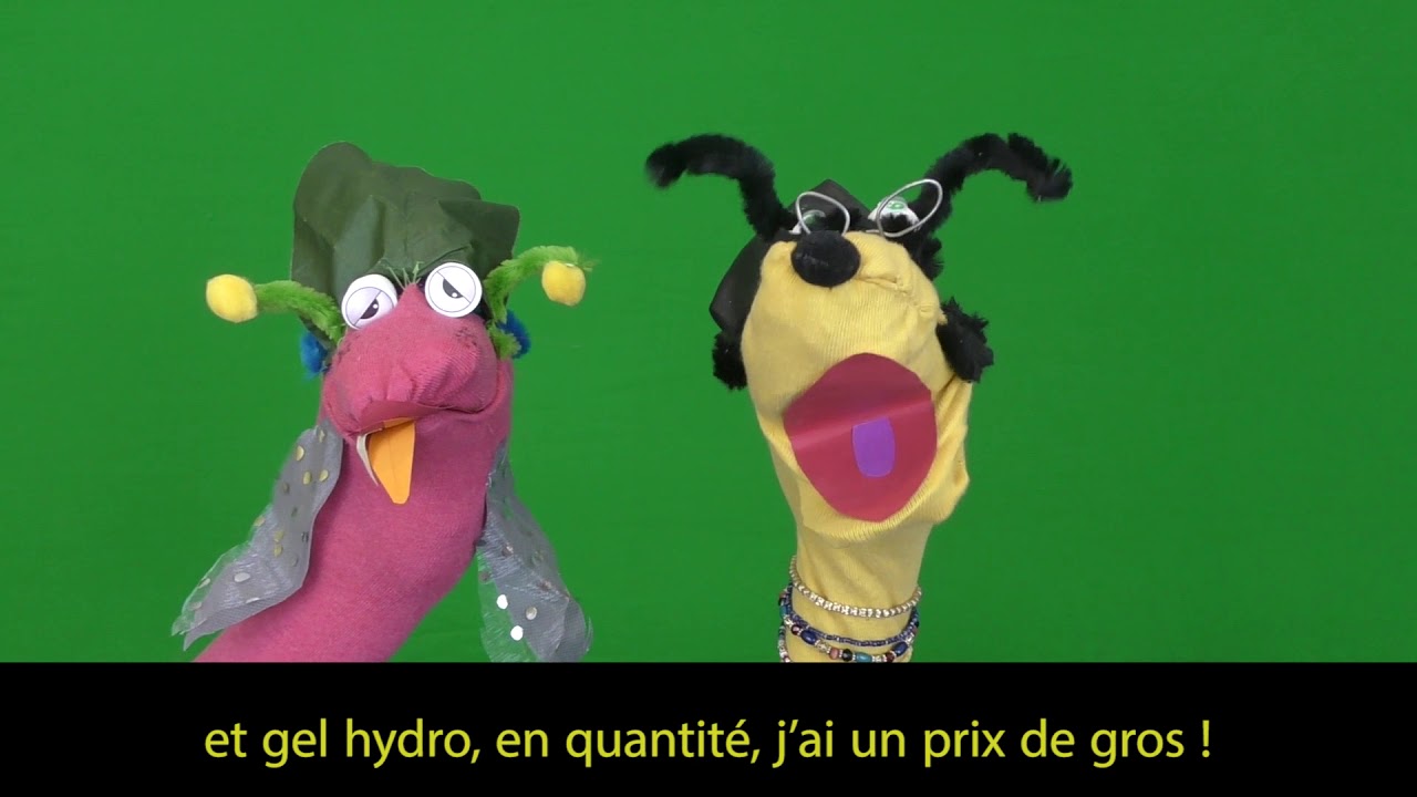 Pit Et Rik La Cicrane Et La Froumi