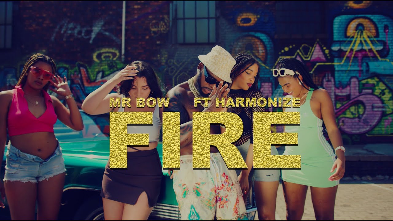 Mr Bow   Fire ft Harmonize Official Music Video