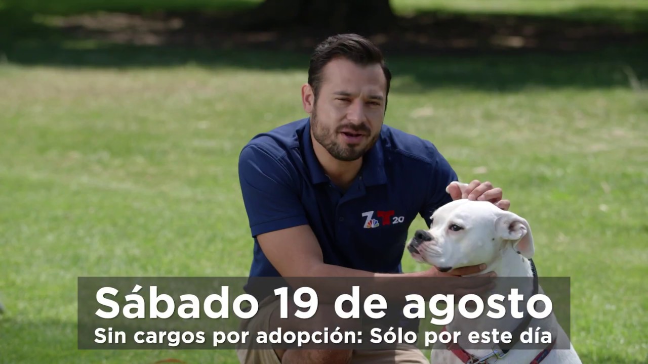 Clear the shelters for Telemundo San Diego and NBC 7 - YouTube