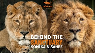 Behind The Sanctuary | Sonika & Sahee