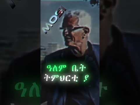 ወዲ ጀበሊ ዓቢ ሰብ ዓቢ መምህር Part 05