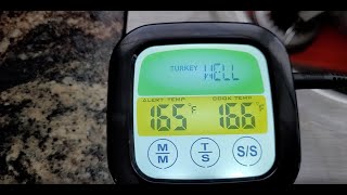 🔥 Testing digital thermometer on Thanksgiving turkey!