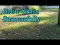 How to Grow Grass Seed During Summer