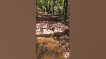 Renegade xmr 1000 hits mud hole!! Video coming #atvlifestyle #atv #mudding #subscribe #shorts #quad