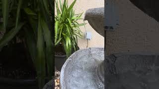 Rock Garden: #waterfountain sounds for #relaxation, #sleep &amp; background noise. Like and subscribe🌺