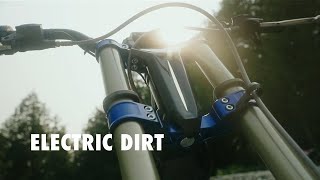 FORTNINE - ELECTRIC DIRT