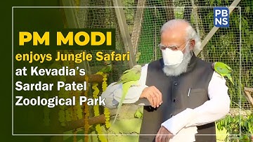 PM Modi enjoys Jungle Safari at Kevadia