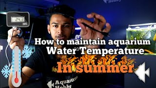 How to maintain aquarium water temperature in summer