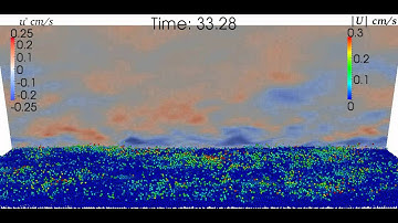 turbulence and bedload transport