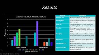 Final Ethogram Project Presentation