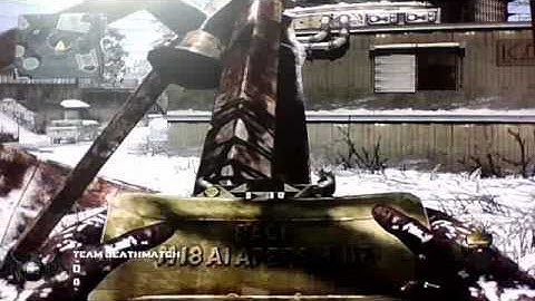 call of duty: black ops array glitches