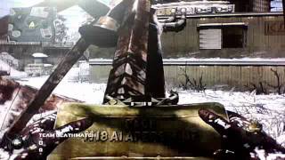 call of duty: black ops array glitches