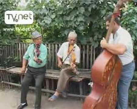 Batuta de la Fizesul Gherli