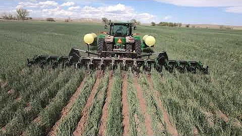 Schlagel Rapid-Till: Great for Cover Crops