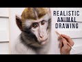Barbary Macaque Soft Pastel Portrait Drawing | Wildlife Artwork
