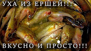 УХА ИЗ ЕРШЕЙ БЕЗ ВКУСА МАРЛИ!!!!!!!!!!!!!!! ГОТОВИМ ПРОСТО И ВКУСНО!!!!!