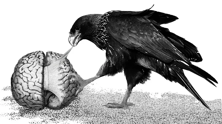 Caracara - Vagrant Witness Cantos (2022) [Full Alb...