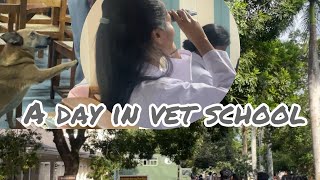 A Day in Vet School Real Life of a Veterinary Student