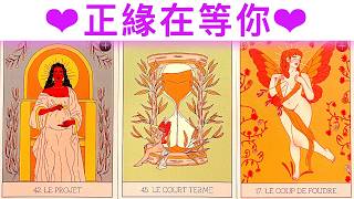 愛情占卜🔮 正緣在等你💖超幸福愛情✨#占卜#愛情#塔羅牌