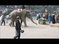 Elephant Elephant Trap Dhaka[কিভাবে হাতি দ্বারা চাঁদাবাজি করছে ঢাকা শহরে ,না দেখেলে বিশ্বাস হবে না]