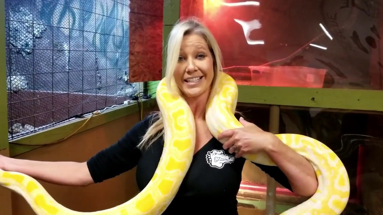Feeding The Big Snakes - YouTube