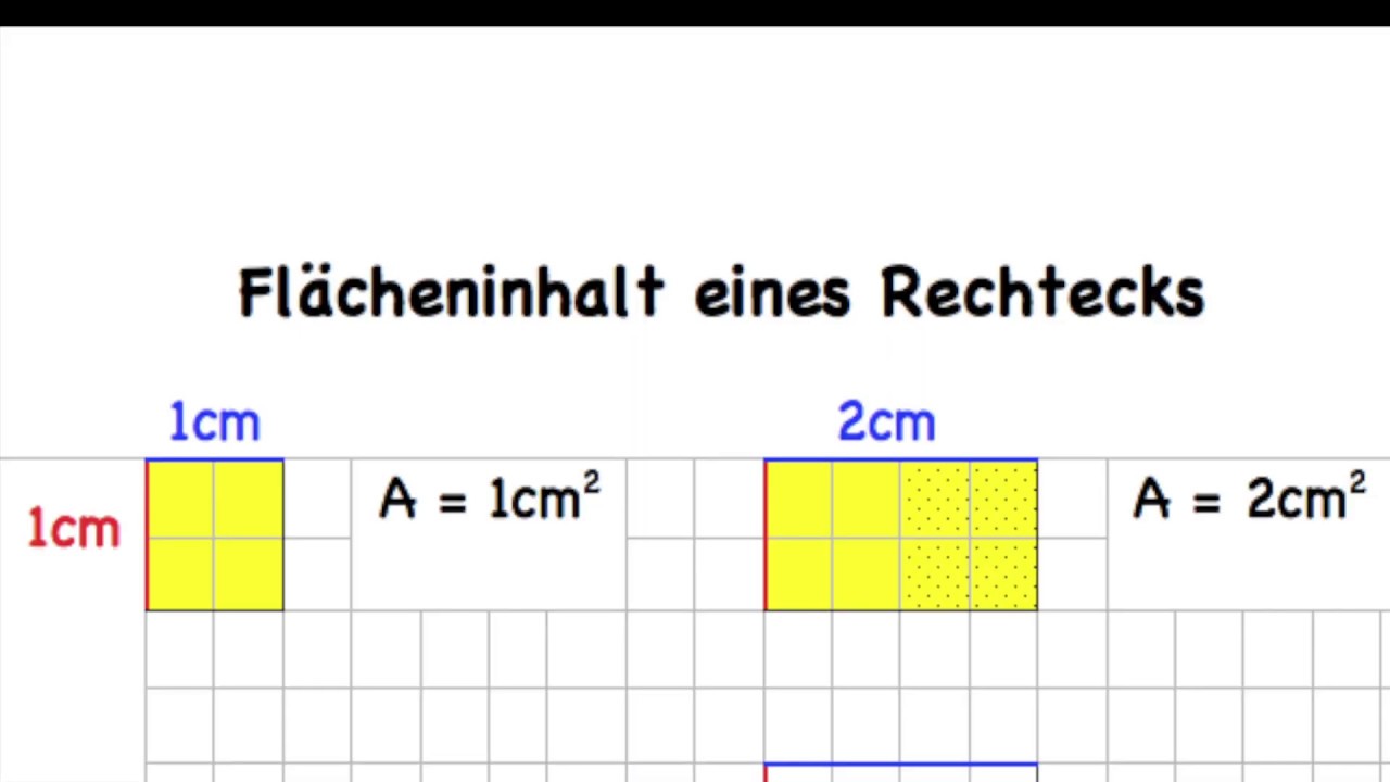 Wie Berechnet Man Flächeninhalt Eines Rechtecks www.youtube.com