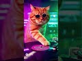 cat DJ
