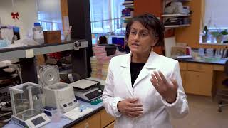 Radhika Atit, PhD: Research Highlight