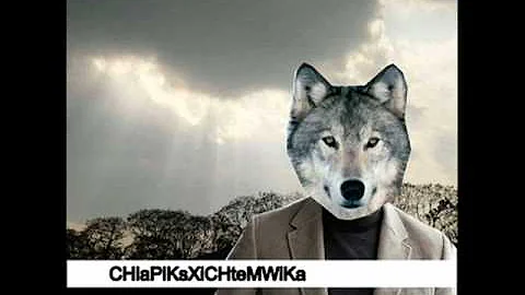 Jaká je bavlněná taška?