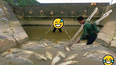 Kích Cá Rô Phi Nước Sâu Ở Mương Mới Múc Được Toàn Cá Khủng - Kích Cá 25d Chung Đội