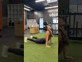 Downward Dog to Upward Dog