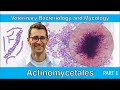 Actinomycetales part 1  veterinary bacteriology and mycology