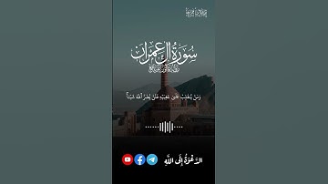تلاوة من سورة ءال عمران للقارئ أنس الشايب