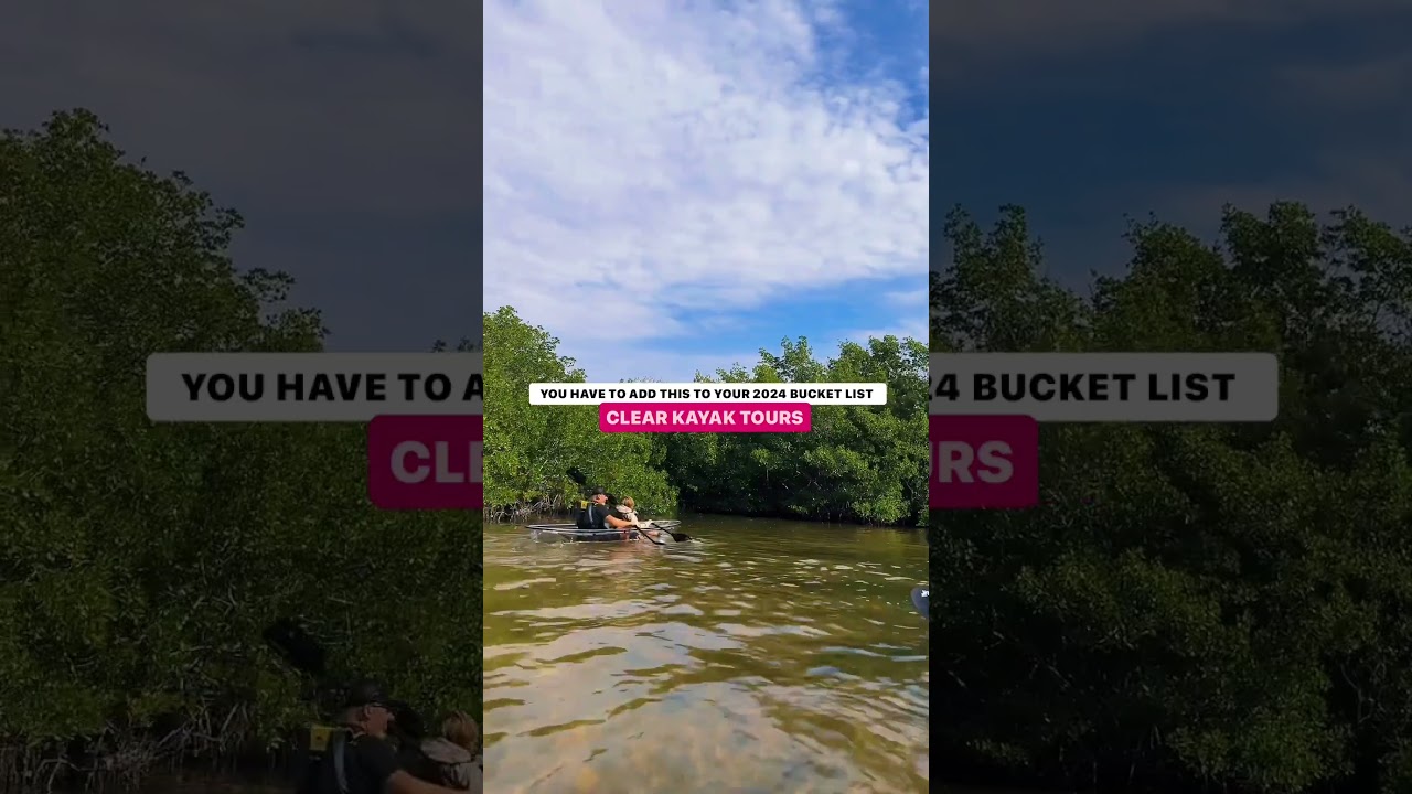 HAVE YOU EXPLORED THESE MANGROVE TUNNELS NEAR SARASOTA? 🧡📍 Jim Neville Preserve