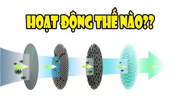 Máy lọc không khí Hoạt động thế nào? Giải thích siêu đơn giản