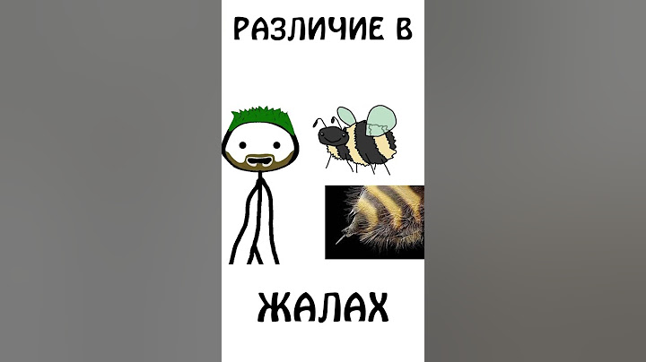 Жало осы, пчелы, шмеля и шершня #shorts #анимация #шортс #животные #шмель #оса #шершень #пчела #жало