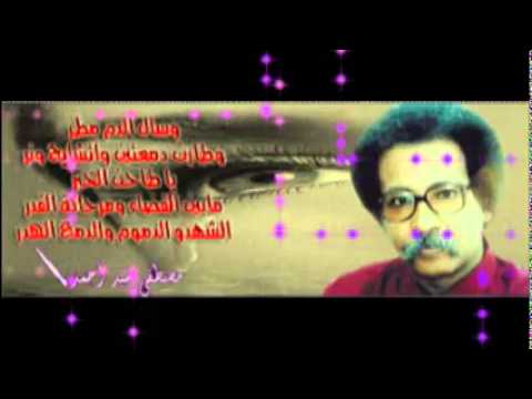 محمد النصري الحزن النبيل 