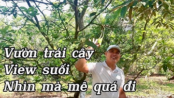 khó khăn buộc hạ giá bán gấp nhà vườn view suối thu nhập ổn định tại bà rịa vũng tàu