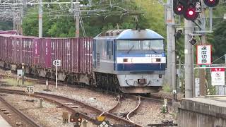 JR貨物 EF210-115号機(吹田)+コキ23両 貨物列車1072レ 2023.10.14