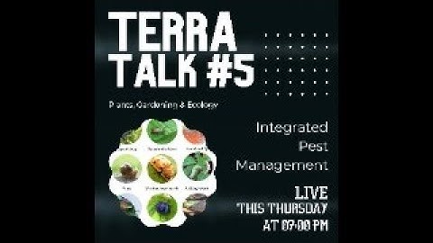 Terra Talk #5 - Integrated Pest Management | Find out how easy it is to incorporate it