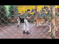 wisata : tiger show di Taman safari - bogor
