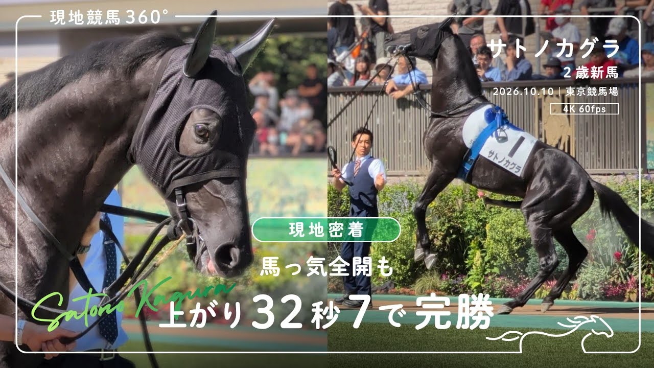 現地密着｜サトノカグラ 2歳新馬｜2026.10.10 東京競馬場 4K/60fps
