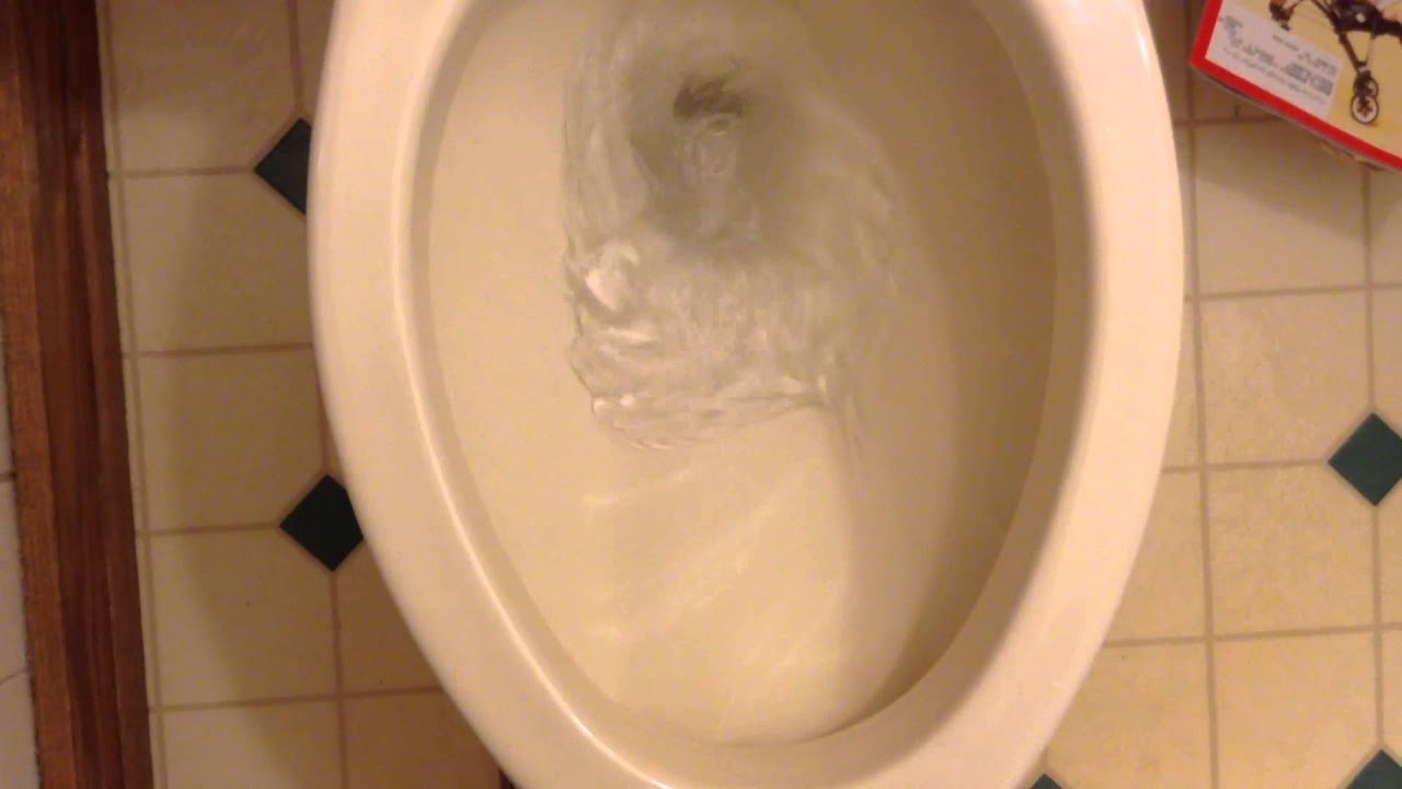 Experiments Bowl rinse on the doubleflushing 1994 Briggs Altima