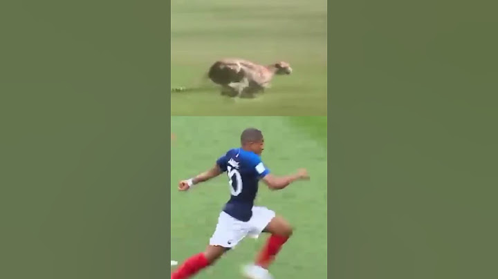 Mbappe Running speed !! Cheetah vs mabappe #viralshorts #mbappe